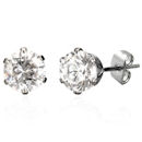 stainless steel earrings