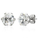 stainless steel earrings